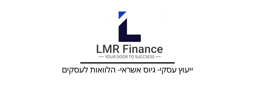 ל.מ.ר פיננסים